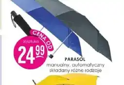 Jaśmin PARASOL oferta