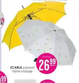 Jaśmin Parasol ECARLA oferta
