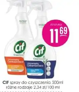 Jaśmin CIF spray do czyszczenia oferta