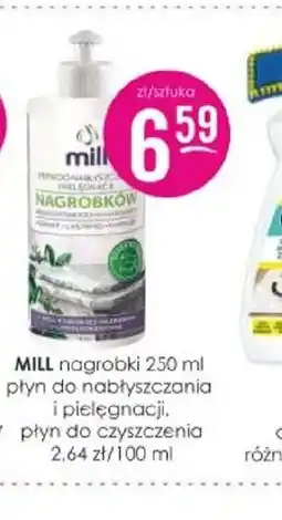 Jaśmin MILL nagrobki oferta