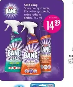 Jaśmin Cillit Bang oferta