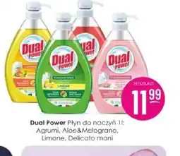 Jaśmin Dual Power Płyn do naczyń oferta