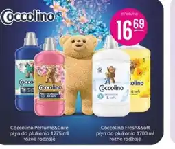 Jaśmin Coccolino oferta
