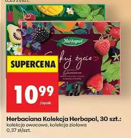 Biedronka Herbaciana Kolekcja Herbapol, 30 szt oferta