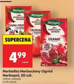 Biedronka Herbatka Herbaciany Ogród Herbapol, 20 szt oferta