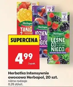 Biedronka Herbatka Intensywnie owocowa Herbapol, 20 szt oferta