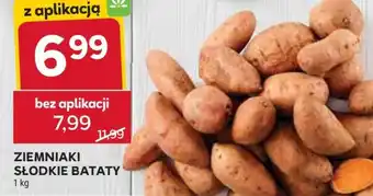 Stokrotka Market Ziemniaki słodkie bataty oferta