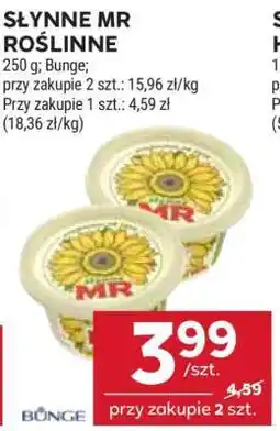 Stokrotka Market Słynne MR roślinne oferta