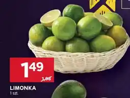 Stokrotka Market Limonka oferta