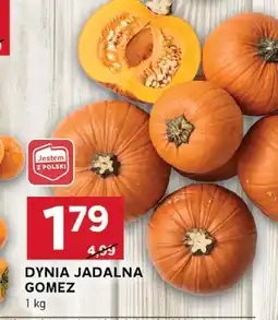 Stokrotka Dynia Dynia Jadalna Gomez Jestem z Polski oferta