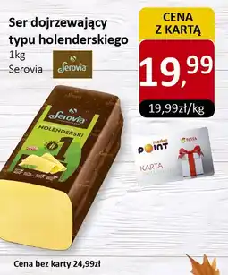 Market Point Ser dojrzewający typu holenderskiego Serovia oferta