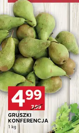 Stokrotka Gruszki Gruszki Konferencja Stokrotka oferta