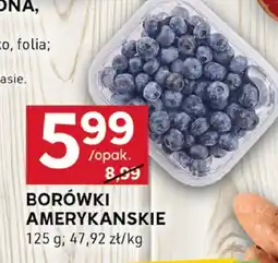 Stokrotka Borówki Borówki Amerykańskie Stokrotka oferta