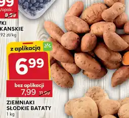 Stokrotka Ziemniaki Ziemniaki Słodkie Bataty Stokrotka oferta