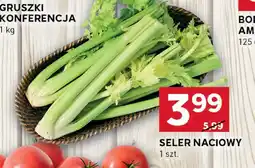Stokrotka Seler Seler Naciowy Stokrotka oferta