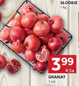 Stokrotka Granat Granat Stokrotka oferta