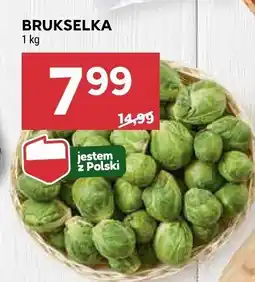 Stokrotka Brukselka Stokrotka oferta