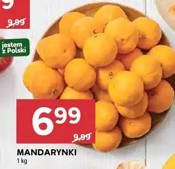 Stokrotka Mandarynki Stokrotka oferta