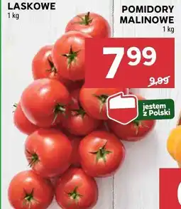 Stokrotka Pomidory malinowe Stokrotka oferta