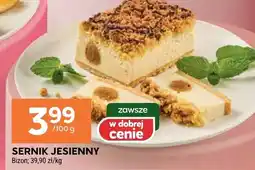 Stokrotka Sernik jesienny Stokrotka oferta