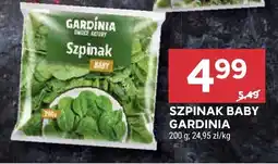 Stokrotka Szpinak baby Gardinia oferta