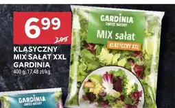 Stokrotka Klasyczny mix sałat XXL Gardinia oferta