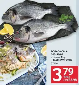 Selgros Dorada cała 300-400 g Selgros oferta