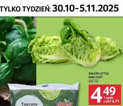 Selgros Sałata Little Gem 2 szt. Selgros oferta