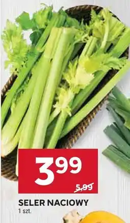 Stokrotka Seler naciowy Stokrotka oferta