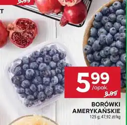 Stokrotka Borówki amerykańskie Stokrotka oferta