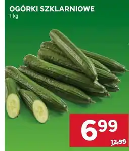 Stokrotka Ogórki szklarniowe Stokrotka oferta