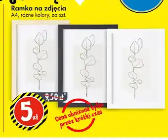 Tedi Ramka na zdjęcia oferta