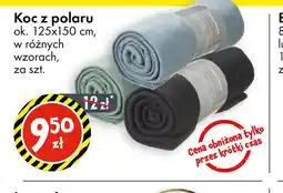 Tedi Koc z polaru oferta