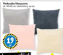 Tedi Poduszka klasyczna oferta