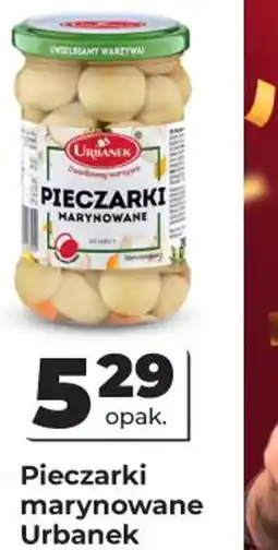 Odido Pieczarki marynowane oferta