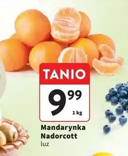 Intermarche Mandarynki nadorcott oferta