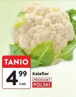 Intermarche Kalafior oferta