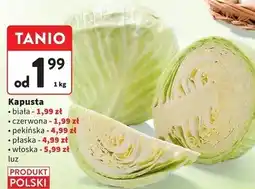 Intermarche Kapusta płaska polska oferta