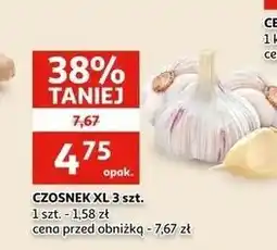 Auchan Czosnek oferta