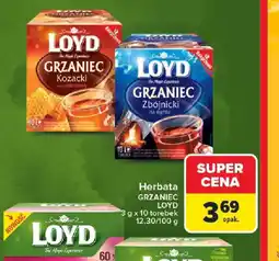 Carrefour Herbata GRZANIEC LOYD oferta