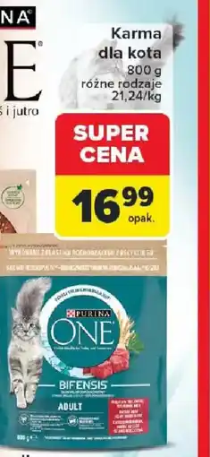 Carrefour Karma dla kota oferta