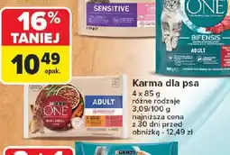 Carrefour Karma dla psa oferta