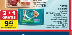 Carrefour Karma dla kota Purina ONE oferta