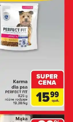 Carrefour Karma dla psa PERFECT FIT oferta