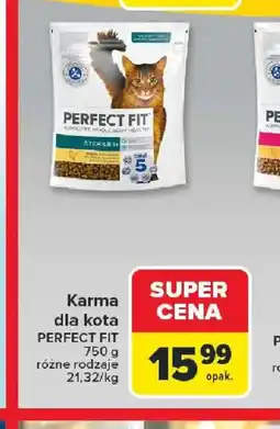 Carrefour Karma dla kota PERFECT FIT oferta