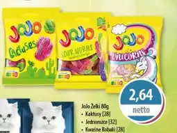DUO-TES JoJo żelki oferta
