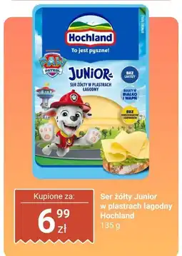 Dino Ser żółty Junior w plastrach łagodny Hochland oferta