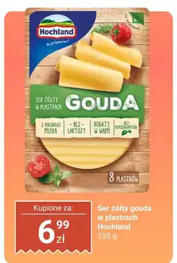Dino Ser żółty gouda w plastrach Hochland oferta