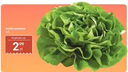 Dino Sałata masłowa szt. Dino oferta