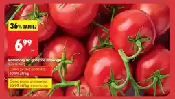 Biedronka Pomidor na gałązce na wagę oferta